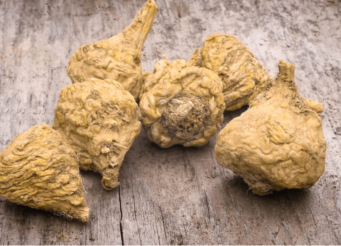 The Power of Maca: Embracing Natural Support for Women During Menopause - BOMIMO
