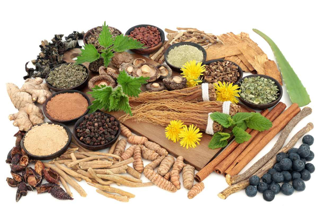 What are the benefits of Adaptogens? - BOMIMO
