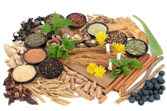 What are the benefits of Adaptogens? - BOMIMO