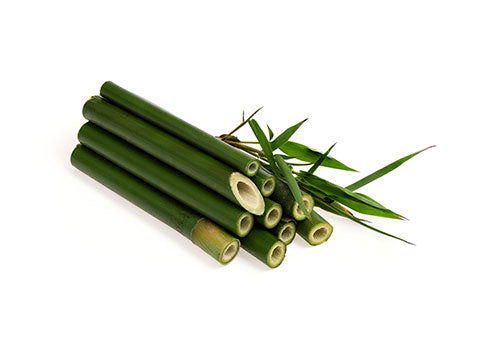 fresh-bamboo 