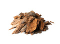 Pine Bark Extract