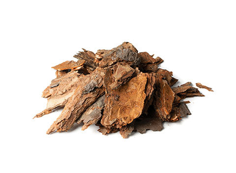 Pine Bark Extract